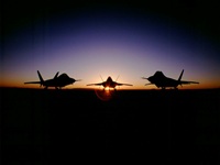 Raptors at dawn
